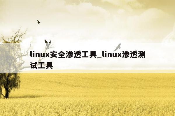 linux安全渗透工具_linux渗透测试工具