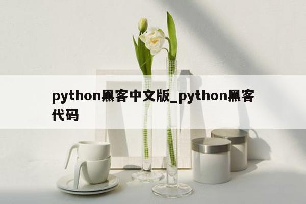 python黑客中文版_python黑客代码