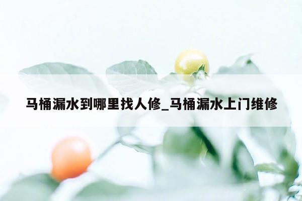 马桶漏水到哪里找人修_马桶漏水上门维修