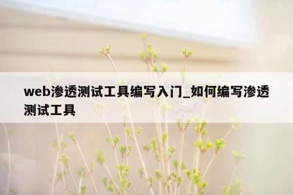 web渗透测试工具编写入门_如何编写渗透测试工具