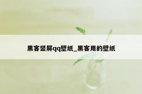 黑客竖屏qq壁纸_黑客用的壁纸