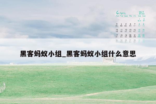 黑客蚂蚁小组_黑客蚂蚁小组什么意思