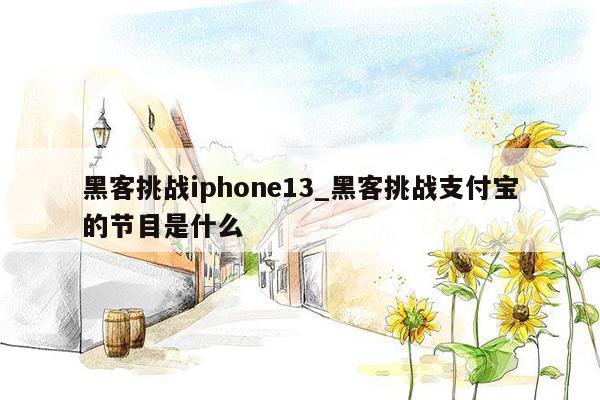 黑客挑战iphone13_黑客挑战支付宝的节目是什么