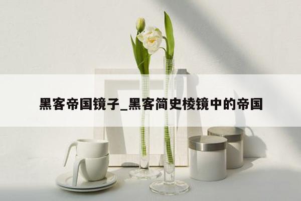 黑客帝国镜子_黑客简史棱镜中的帝国
