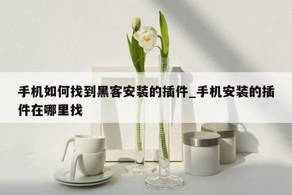 手机如何找到黑客安装的插件_手机安装的插件在哪里找