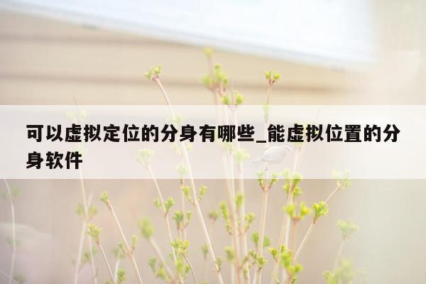 可以虚拟定位的分身有哪些_能虚拟位置的分身软件