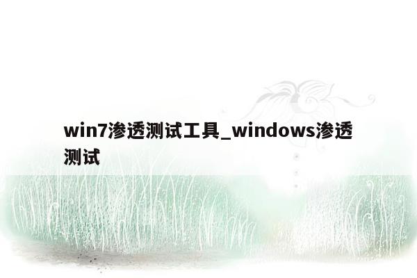 win7渗透测试工具_windows渗透测试