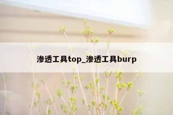 渗透工具top_渗透工具burp