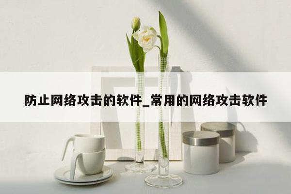 防止网络攻击的软件_常用的网络攻击软件