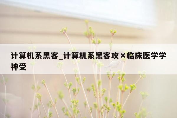 计算机系黑客_计算机系黑客攻×临床医学学神受