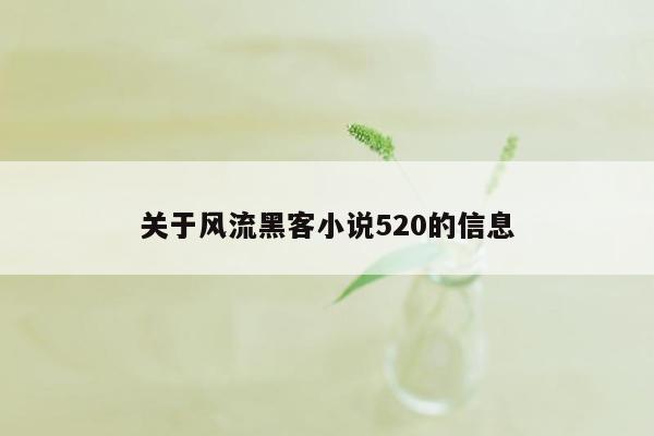 关于风流黑客小说520的信息