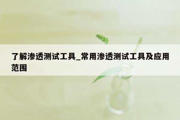 了解渗透测试工具_常用渗透测试工具及应用范围