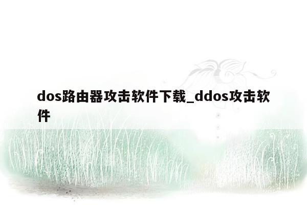 dos路由器攻击软件下载_ddos攻击软件
