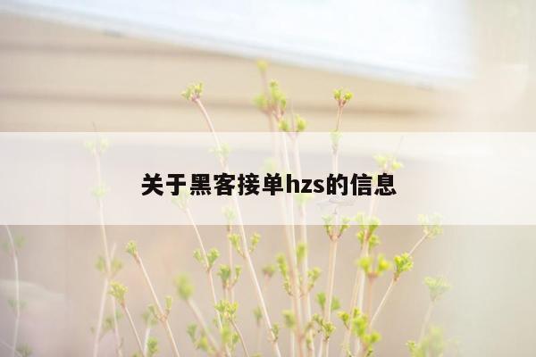 关于黑客接单hzs的信息