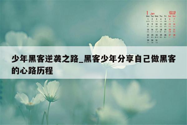 少年黑客逆袭之路_黑客少年分享自己做黑客的心路历程
