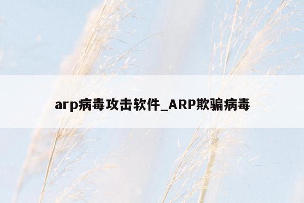 arp病毒攻击软件_ARP欺骗病毒