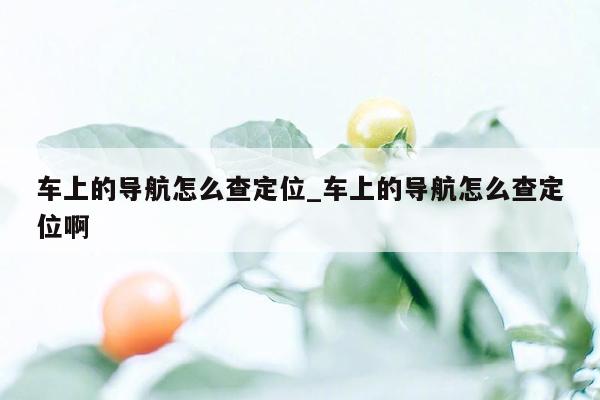 车上的导航怎么查定位_车上的导航怎么查定位啊