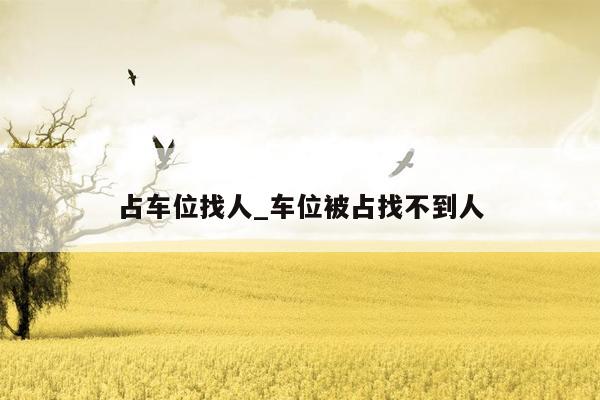 占车位找人_车位被占找不到人