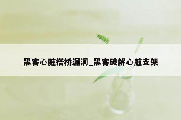黑客心脏搭桥漏洞_黑客破解心脏支架