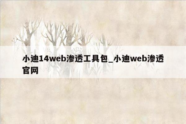 小迪14web渗透工具包_小迪web渗透官网