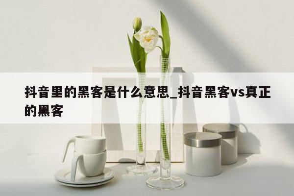 抖音里的黑客是什么意思_抖音黑客vs真正的黑客