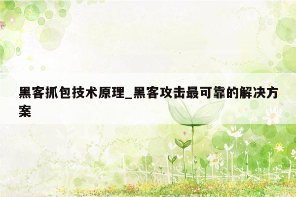 黑客抓包技术原理_黑客攻击最可靠的解决方案