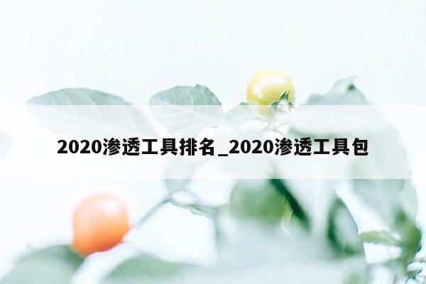 2020渗透工具排名_2020渗透工具包