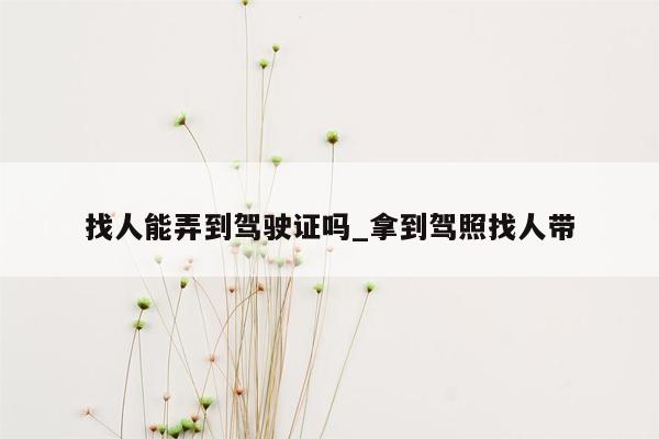 找人能弄到驾驶证吗_拿到驾照找人带