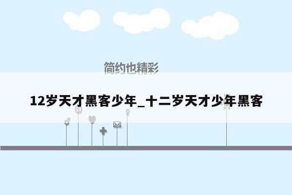 12岁天才黑客少年_十二岁天才少年黑客