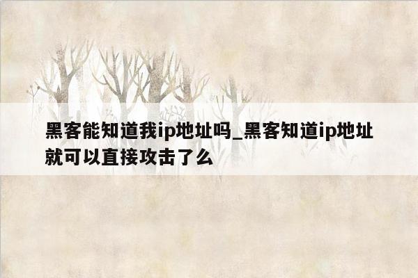 黑客能知道我ip地址吗_黑客知道ip地址就可以直接攻击了么