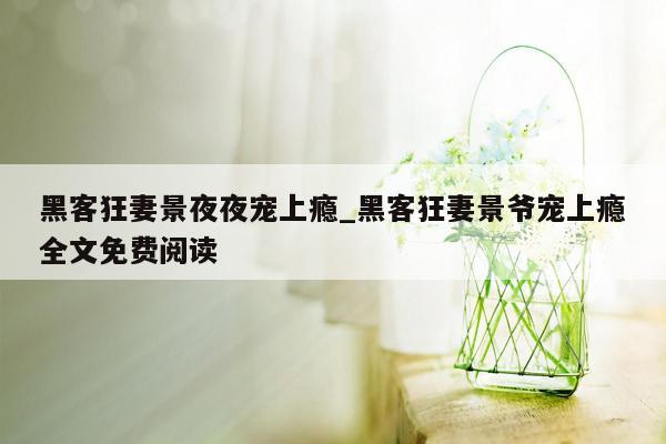 黑客狂妻景夜夜宠上瘾_黑客狂妻景爷宠上瘾全文免费阅读