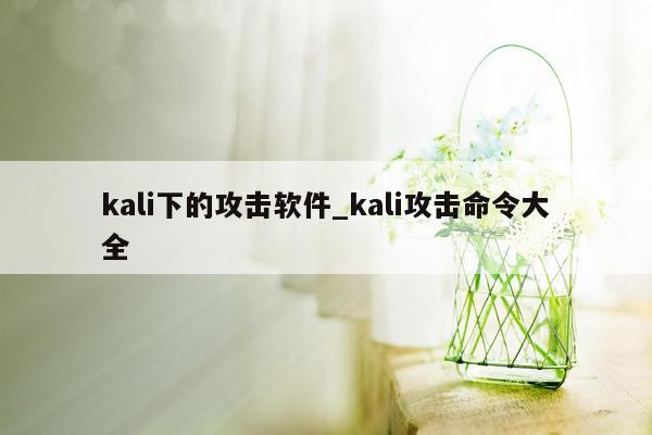 kali下的攻击软件_kali攻击命令大全