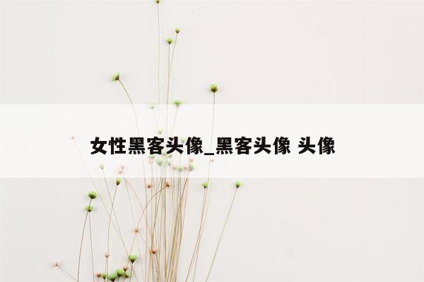 女性黑客头像_黑客头像 头像