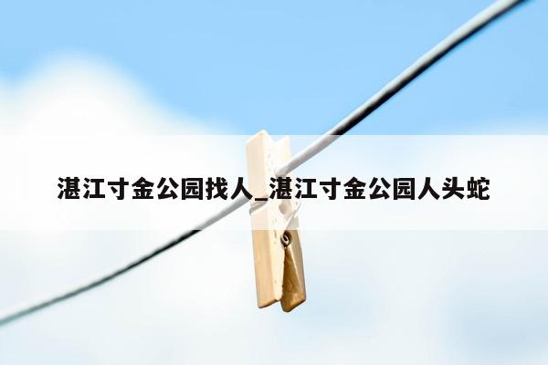 湛江寸金公园找人_湛江寸金公园人头蛇