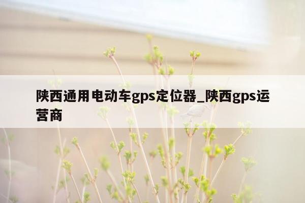 陕西通用电动车gps定位器_陕西gps运营商