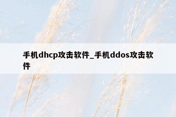 手机dhcp攻击软件_手机ddos攻击软件