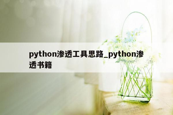 python渗透工具思路_python渗透书籍