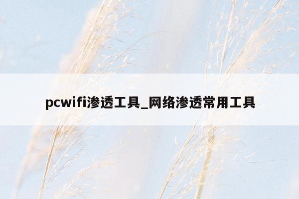 pcwifi渗透工具_网络渗透常用工具