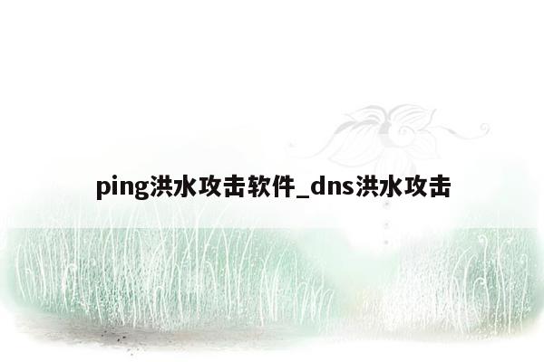 ping洪水攻击软件_dns洪水攻击