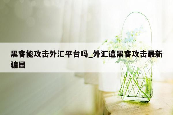 黑客能攻击外汇平台吗_外汇遭黑客攻击最新骗局