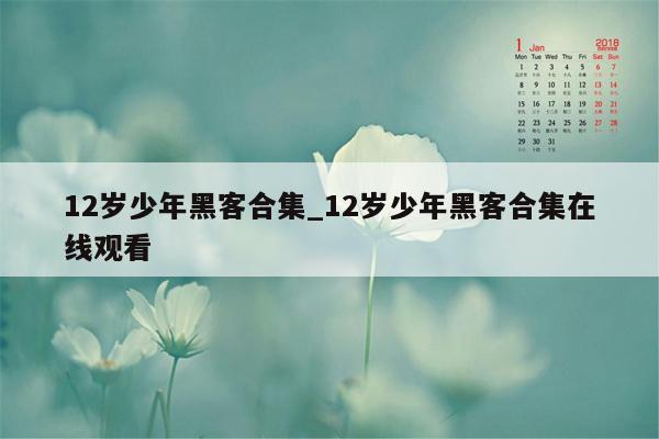 12岁少年黑客合集_12岁少年黑客合集在线观看