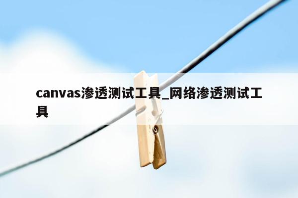 canvas渗透测试工具_网络渗透测试工具