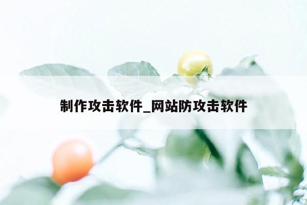 制作攻击软件_网站防攻击软件