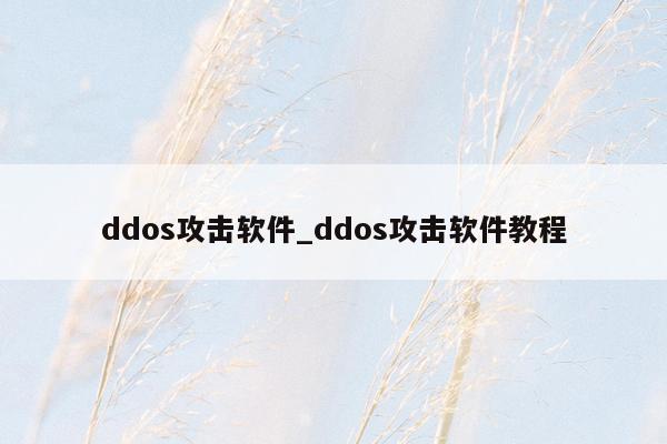 ddos攻击软件_ddos攻击软件教程
