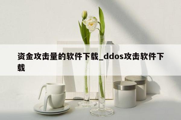 资金攻击量的软件下载_ddos攻击软件下载