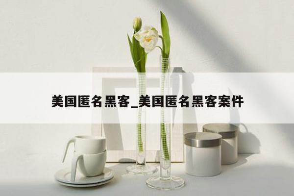 美国匿名黑客_美国匿名黑客案件