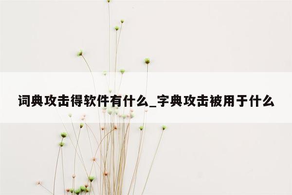 词典攻击得软件有什么_字典攻击被用于什么