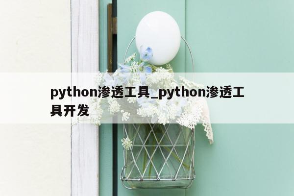 python渗透工具_python渗透工具开发