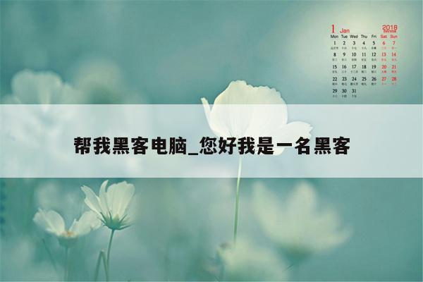 帮我黑客电脑_您好我是一名黑客