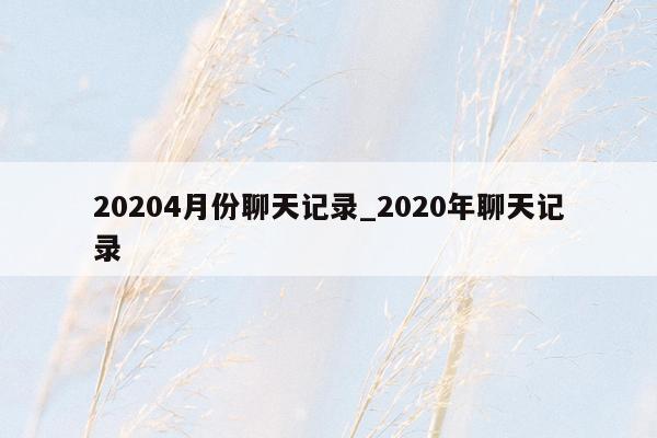 20204月份聊天记录_2020年聊天记录